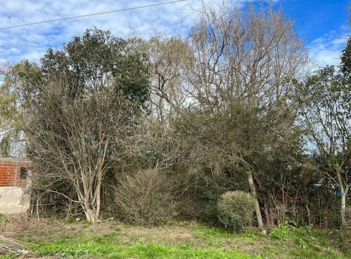 Terreno · 300m²