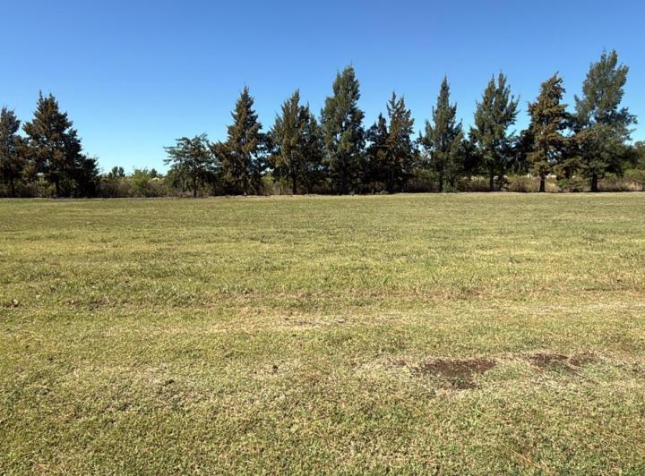 Terreno · 2000m²