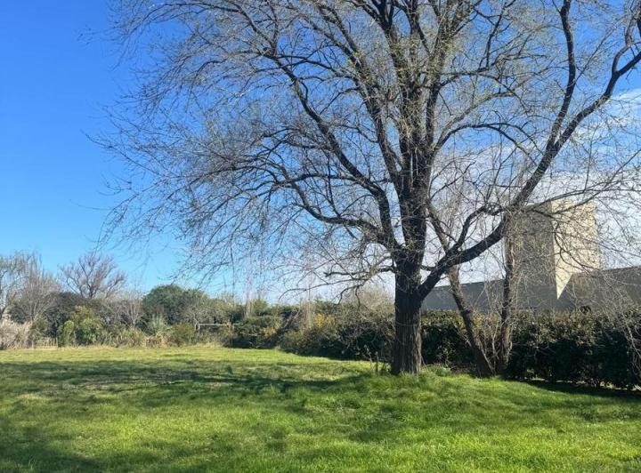 Terreno · 1000m²