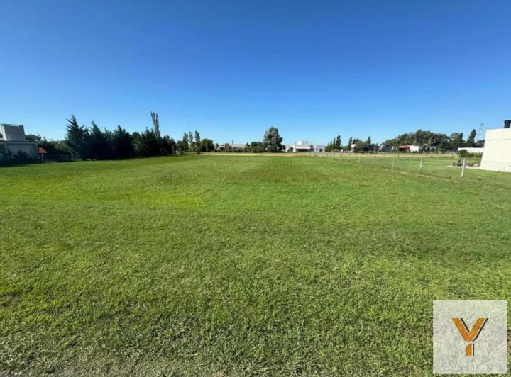 Terreno · 2000m²