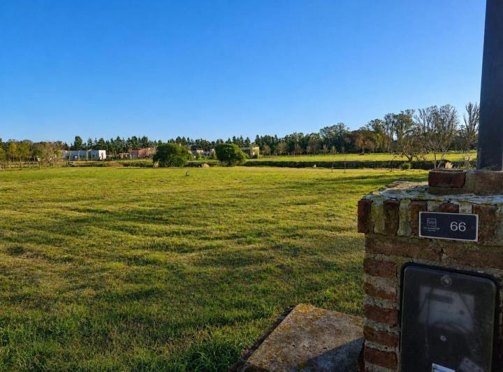 Terreno · 2000m²