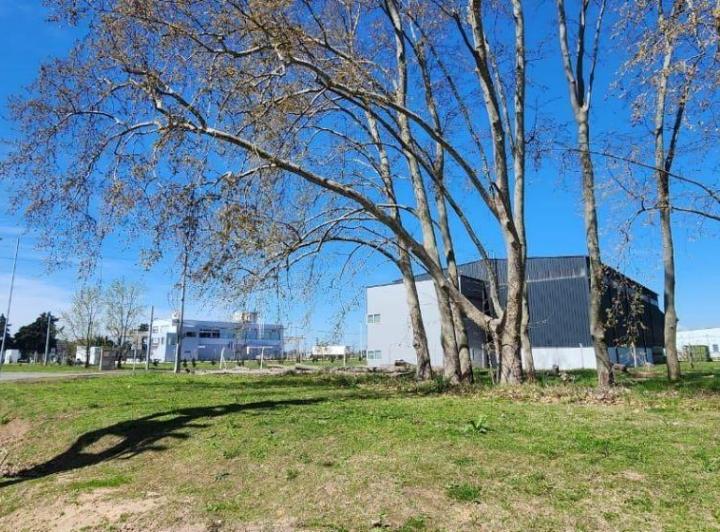 Terreno · 3871m²