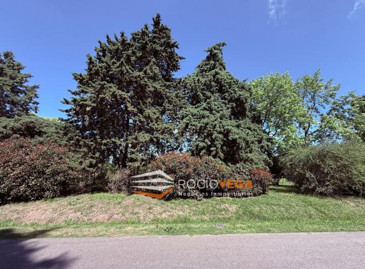 Terreno · 2923m²