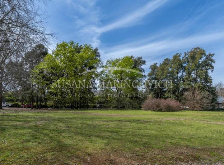 Terreno · 2259m²
