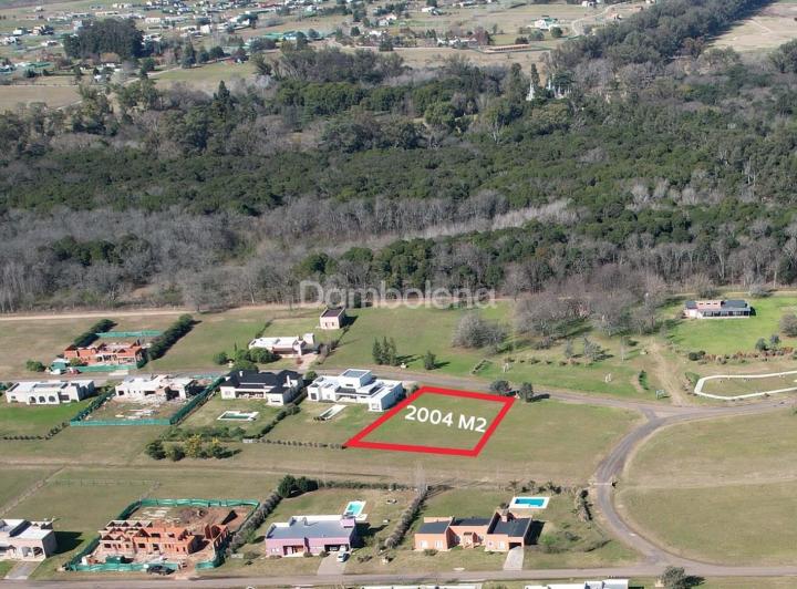 Terreno · 2004m²