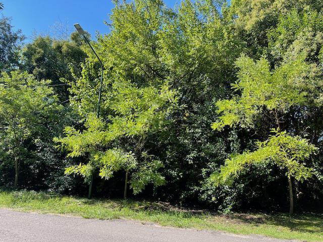 Terreno · 3377m²