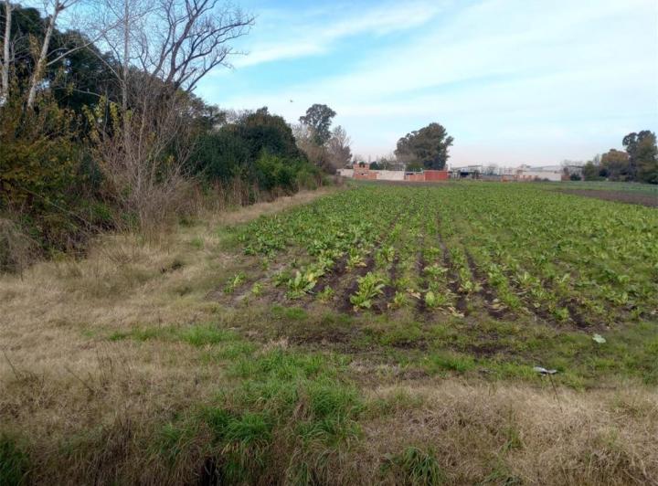 Terreno · 2073m²