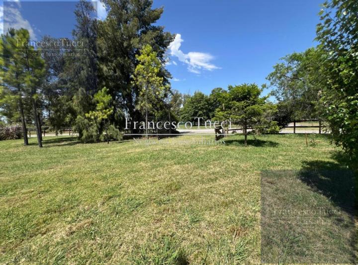Terreno · 10000m²