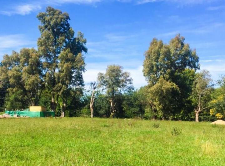 Terreno · 1612m²