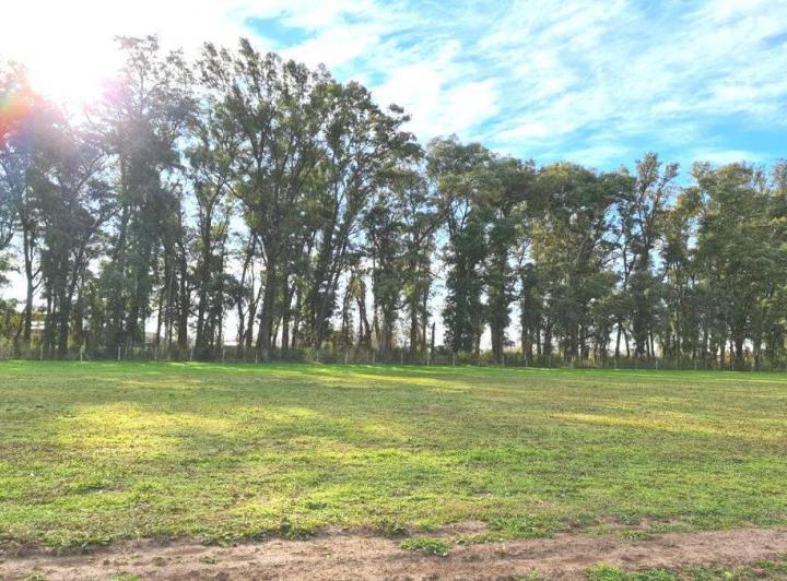 Terreno · 2000m²