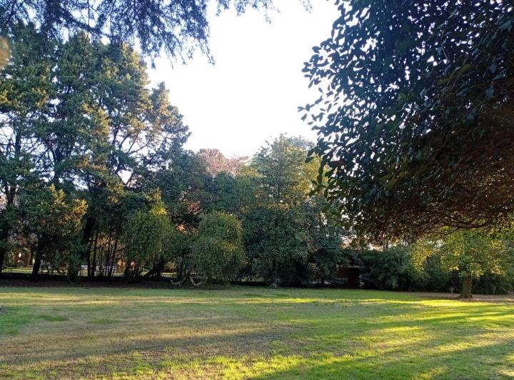 Terreno · 1700m²
