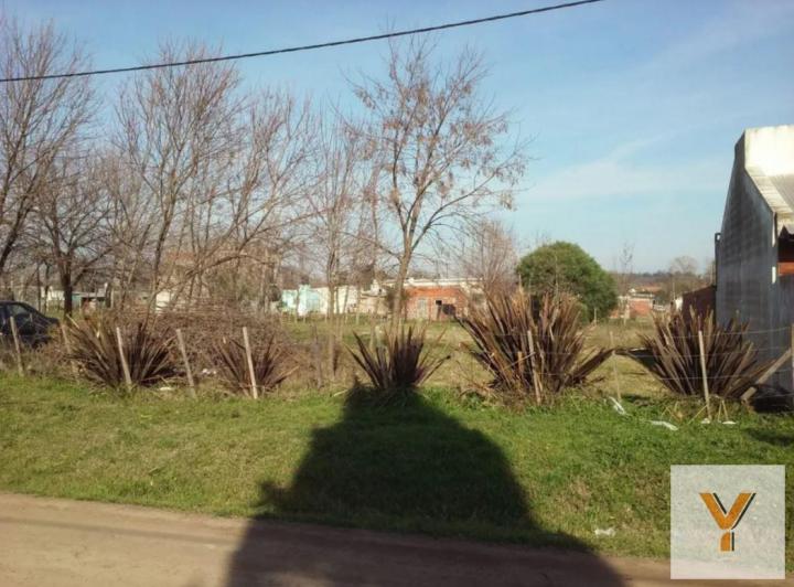 Terreno · 556m²