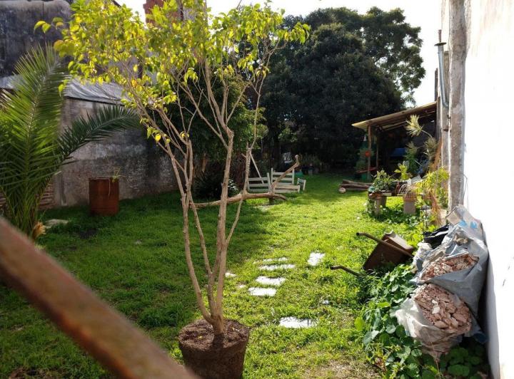 Terreno · 311m²