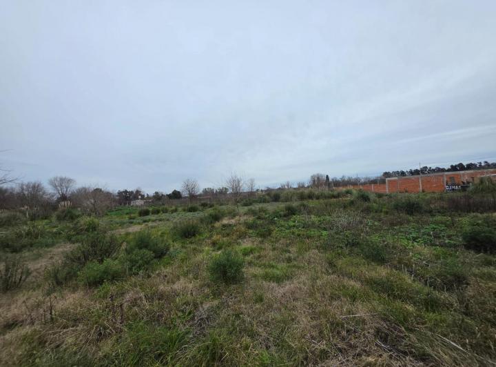 Terreno · 1279m²