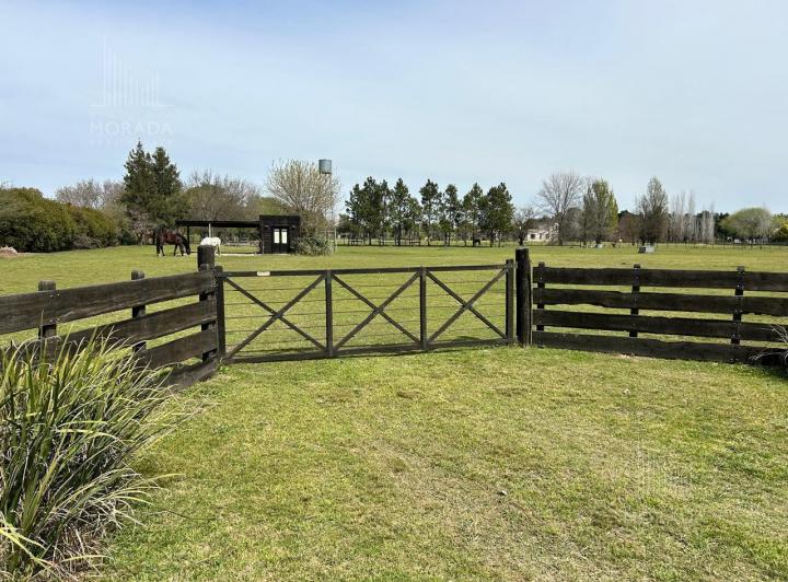 Terreno · 10000m²