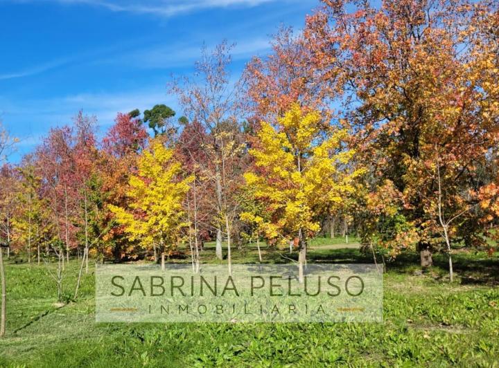 Terreno · 378m²