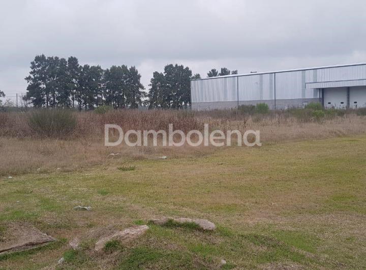 Terreno · 7800m²