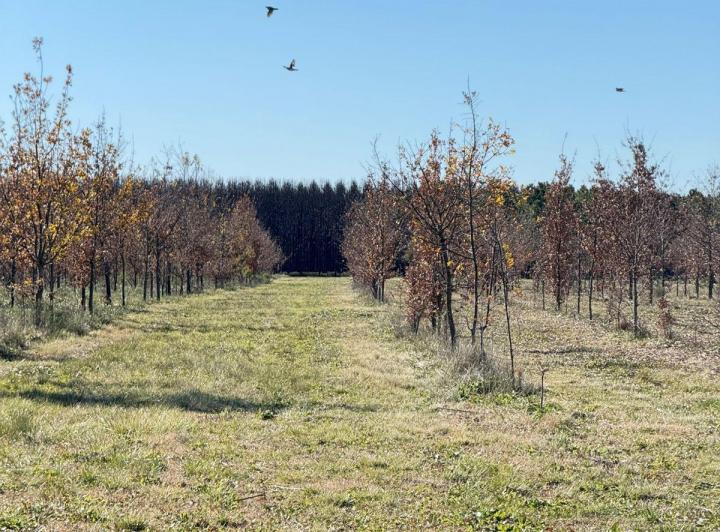 Terreno · 800m²