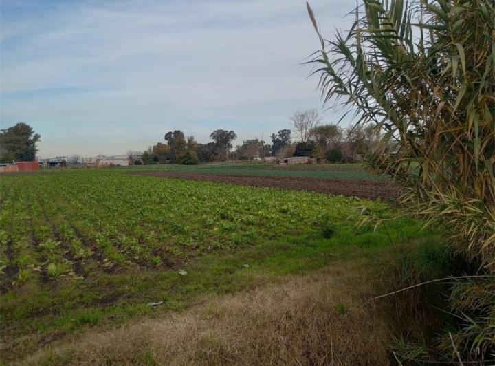 Terreno · 2189m²