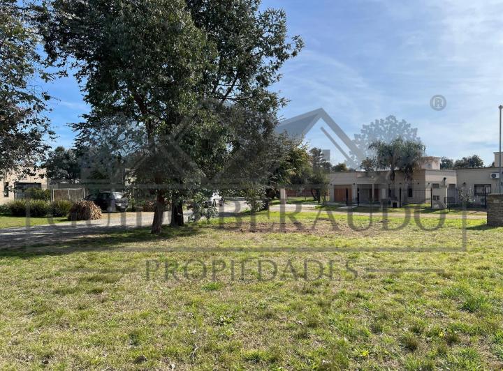 Terreno · 304m²