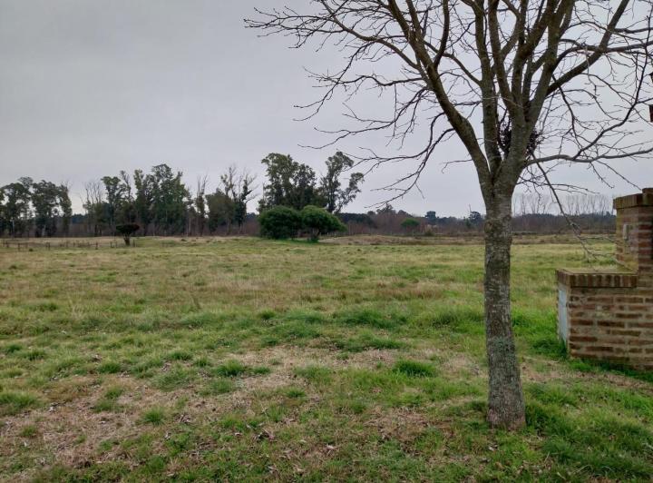 Terreno · 2000m²