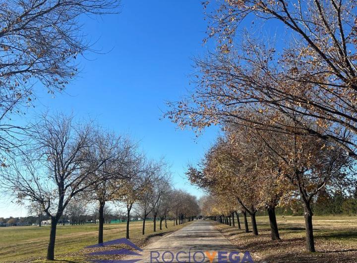 Terreno · 2000m²