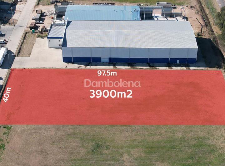 Terreno · 3900m²