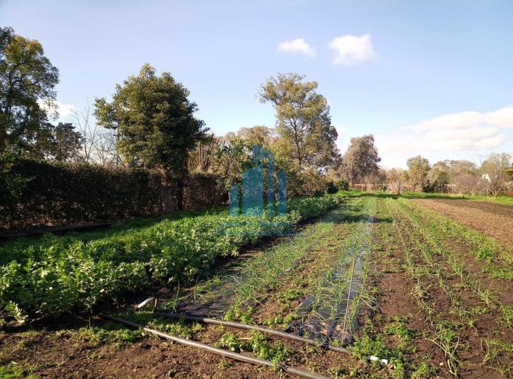 Terreno · 10000m² · 1 Ambiente · 1 Cochera