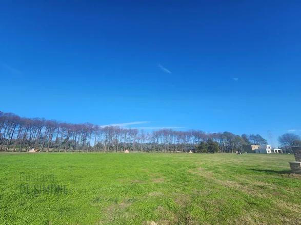 Terreno · 1000m²