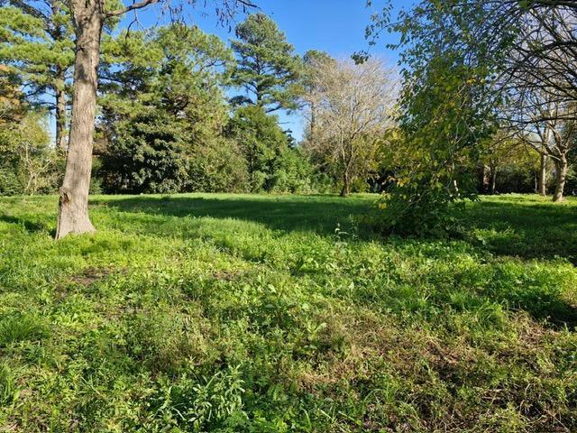Terreno · 1687m²
