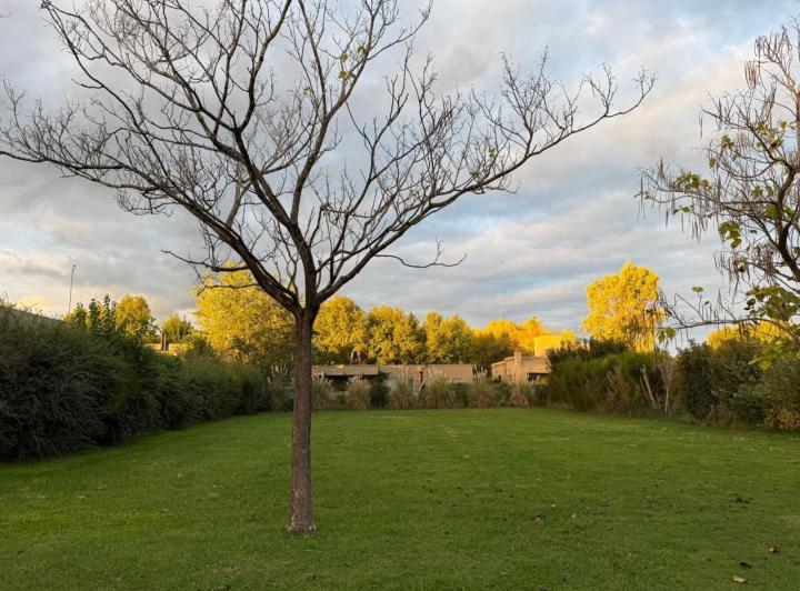 Terreno · 1000m²