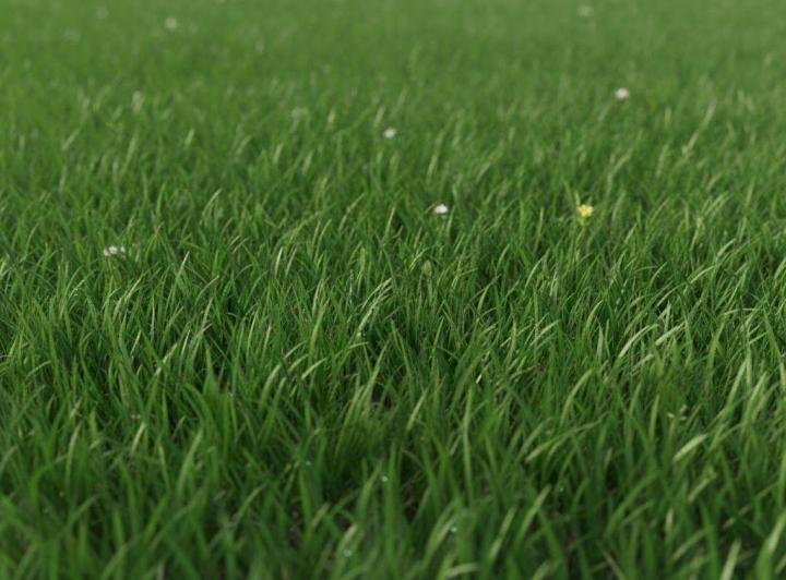 Terreno · 2600m²