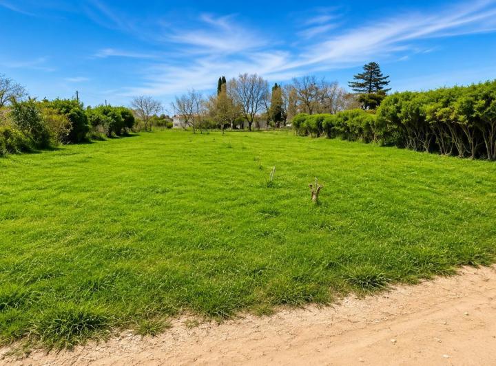 Terreno · 1000m²