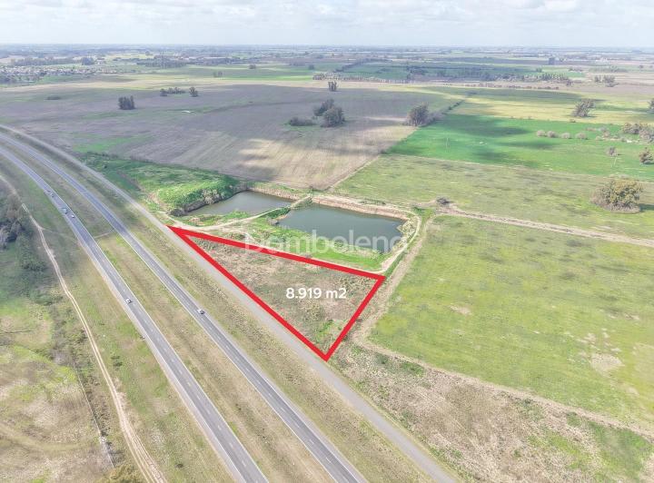 Terreno · 8919m²