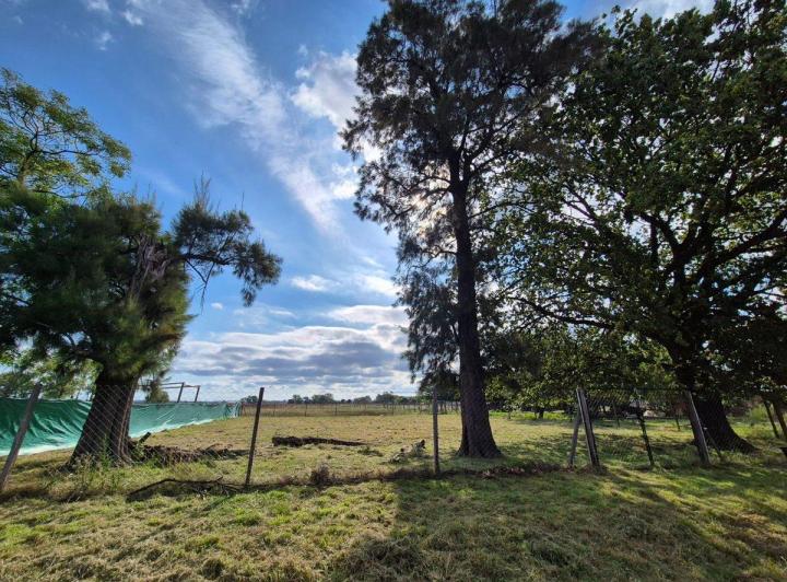 Terreno · 1095m²
