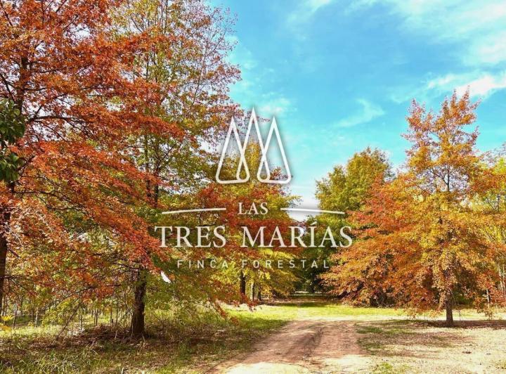 Terreno · 400m²
