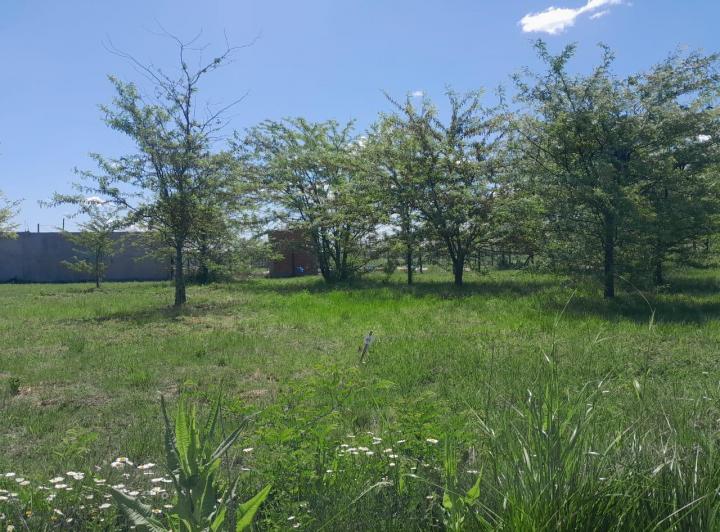 Terreno · 370m²