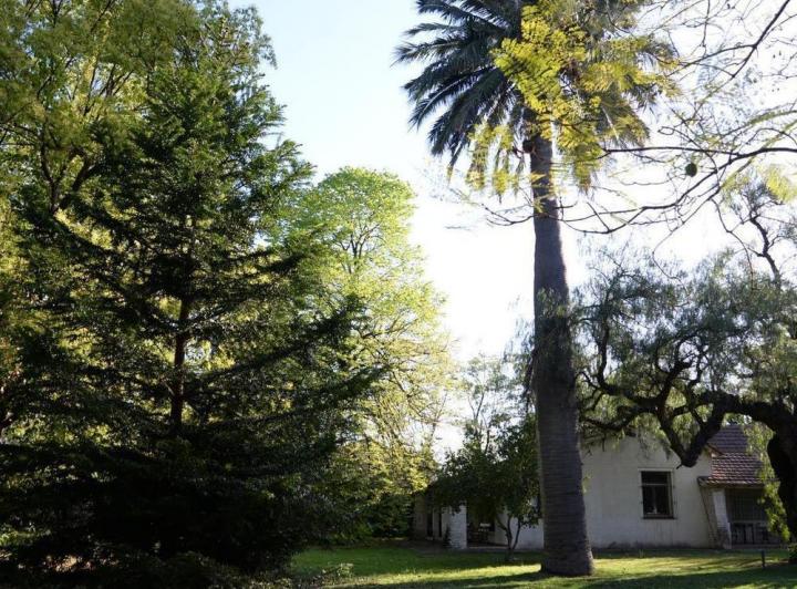 Terreno · 197m²
