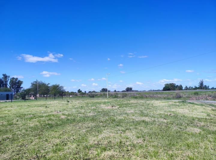 Terreno · 1289m²