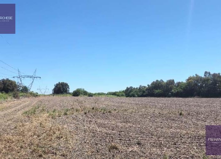 Terreno · 20ha