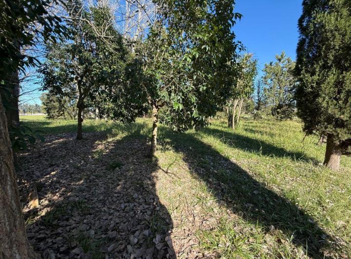 Terreno · 1000m²
