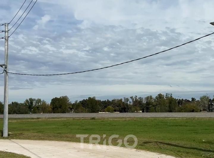 Terreno · 9126m²