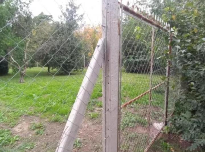Terreno · 704m²