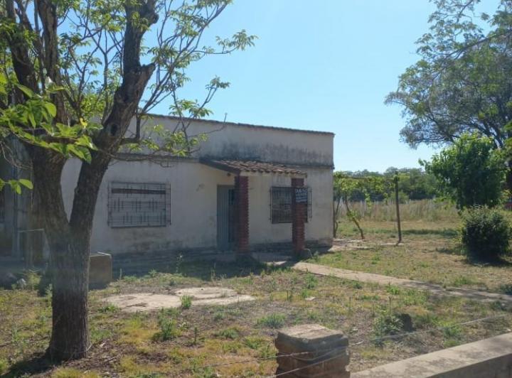 Terreno