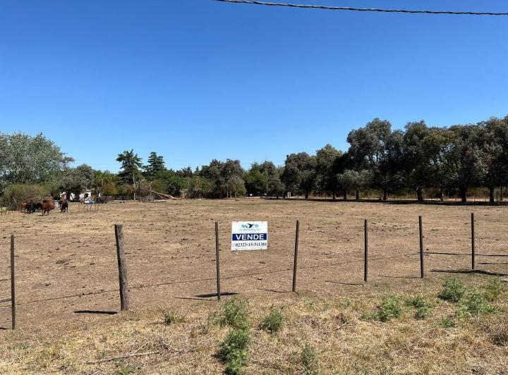 Terreno · 1000m²