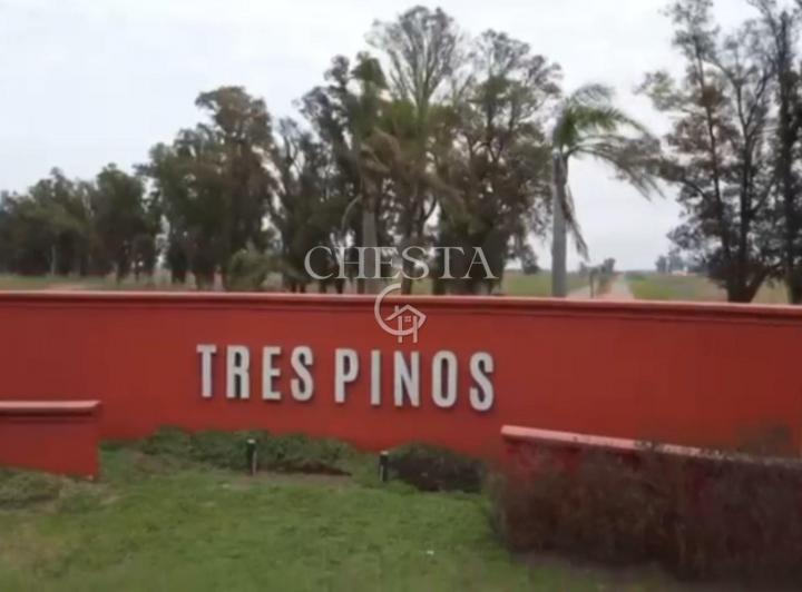 Terreno · 1002m²