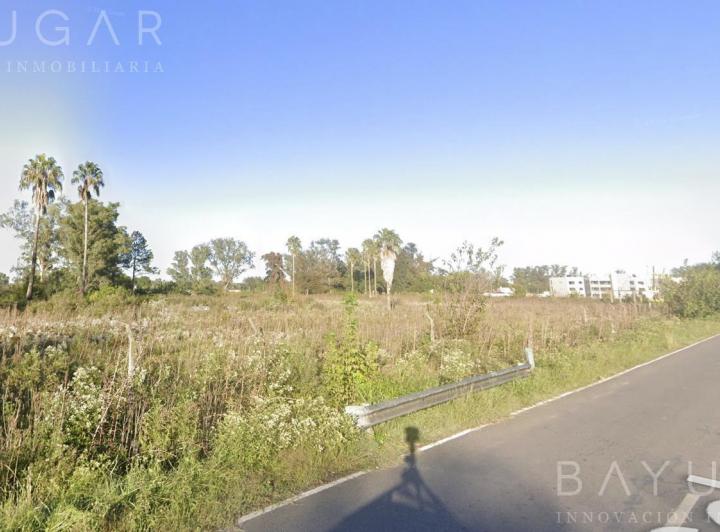 Terreno · 80000ha