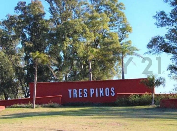 Terreno · 1036m²