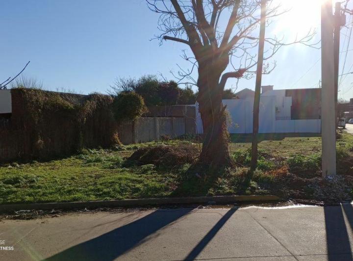 Terreno · 300m²
