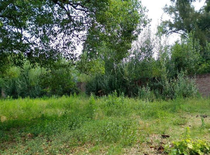 Terreno · 825m²
